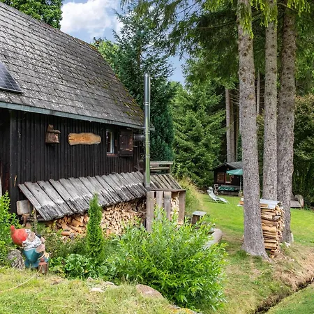 بيت للعطل Muehle Am Wolfsgrund Unterkirnach