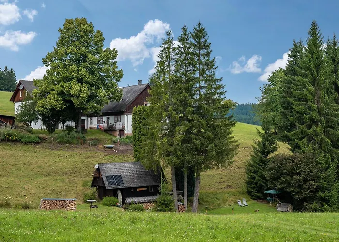 Muehle Am Wolfsgrund * Brigach