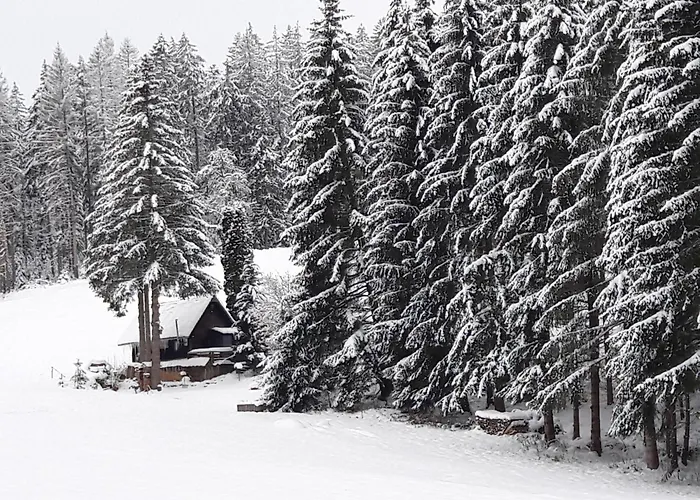 Σπίτι διακοπών Muehle Am Wolfsgrund